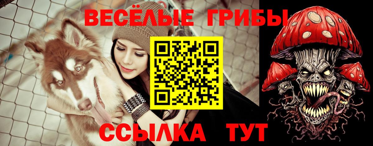 Псилоцибиновые грибы Magic Shrooms  Вход с VPN  Ртищево 